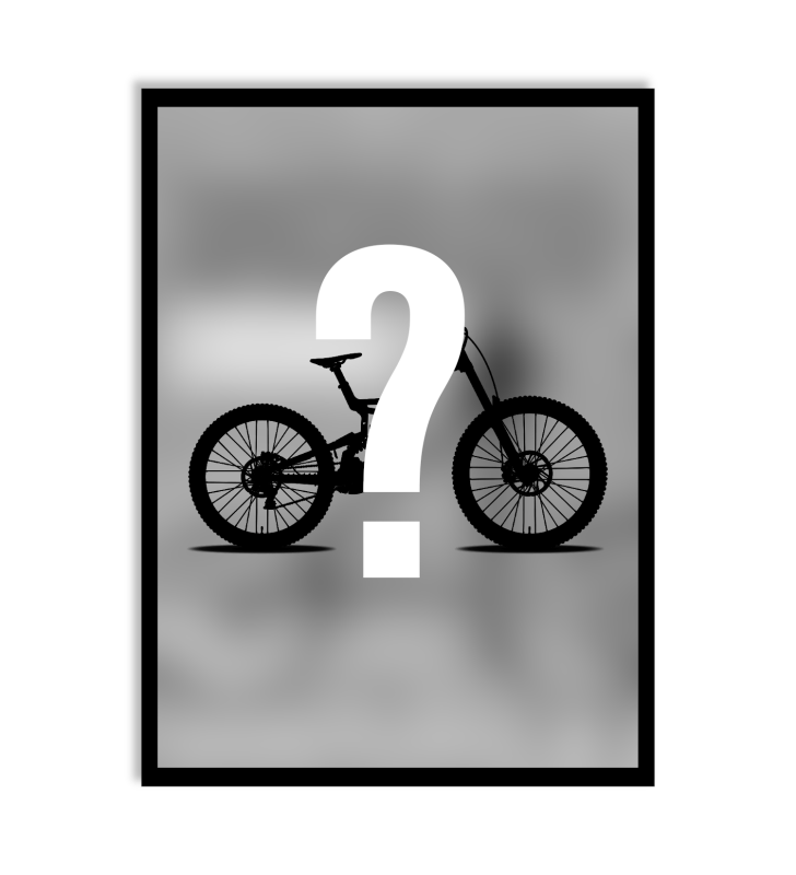 PERSONALIZOWANY PLAKAT Z ROWEREM